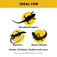 thumbnail image 4 of Zilla Forro de Suelo Marrón 44 × 90 cm para Reptiles, 4 of 9