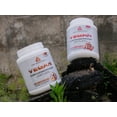 thumbnail image 3 of Core Nutritionals Platinum Vegan Plant-Based Protein Powder 29 Servings (Vanilla Creme), 3 of 7