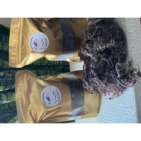Raw Gold Gracilaria Sea Moss Bulk (5oz) Makes Over 98oz of Gel Wildcrafted in Jamaica Irish Sea Moss Supplement Wild Harvested Vegan Non-GMO Sundried Algae Seaweed