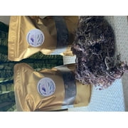 Raw Gold Gracilaria Sea Moss Bulk (5oz) Makes Over 98oz of Gel Wildcrafted in Jamaica Irish Sea Moss Supplement  Wild Harvested Vegan Non-GMO Sundried Algae Seaweed
