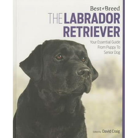 The Labrador : Your Essential Guide from Puppy to Senior