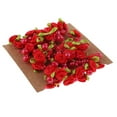 thumbnail image 1 of Guirnalda de flores con perlas artificiales de 5 m y 197 pulgadas para coser y decorar bodas. rojo, 1 of 9