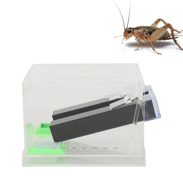 Cricket Keeper,Acrylic Feeding Cricket Keeper Pen with Tubes Insect  Cockroach Care Kit Reptile Tank Box for Observation of Breeding(S)
