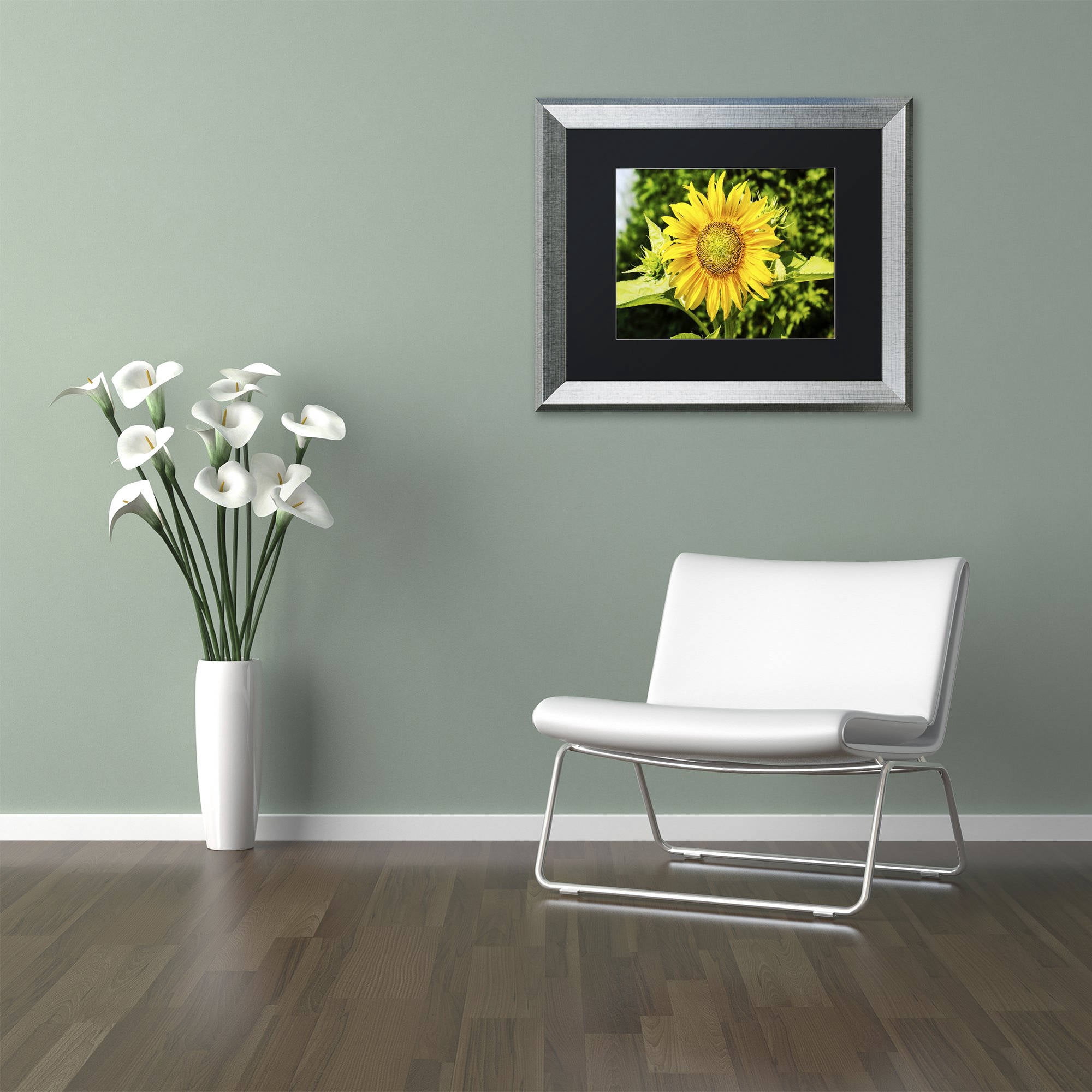 Trademark Fine Art "Just a Sunflower" Canvas Art by Kurt Shaffer, Black Matte, Silver Frame