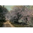 thumbnail image 2 of Unknown 32x23 White Modern Wood Framed Museum Art Print Titled - Apple Blossoms II, 2 of 4