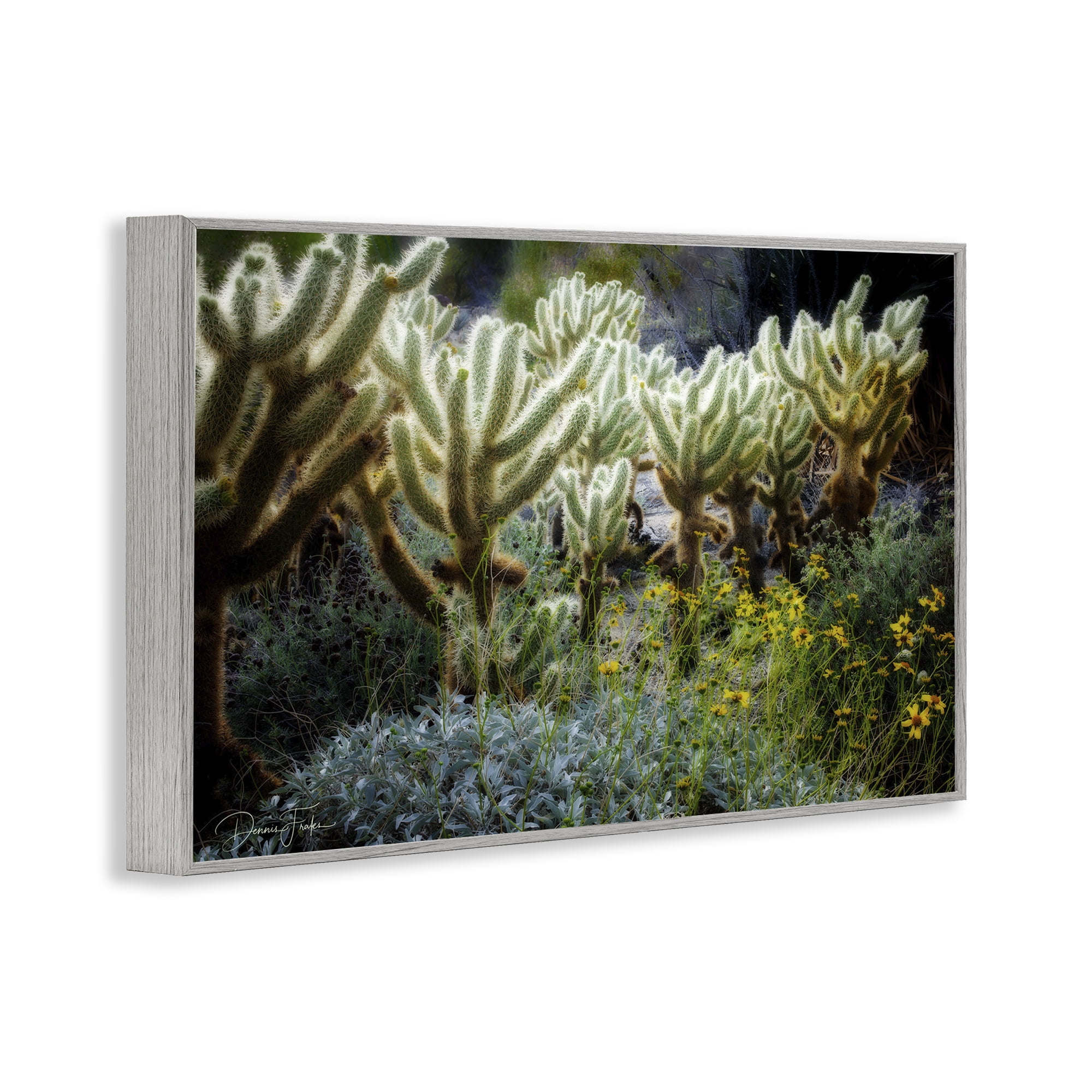 Stupell Industries Desert Cactus Forest Landscape Photography Gray Framed Art Print Wall Art, 30 x 20