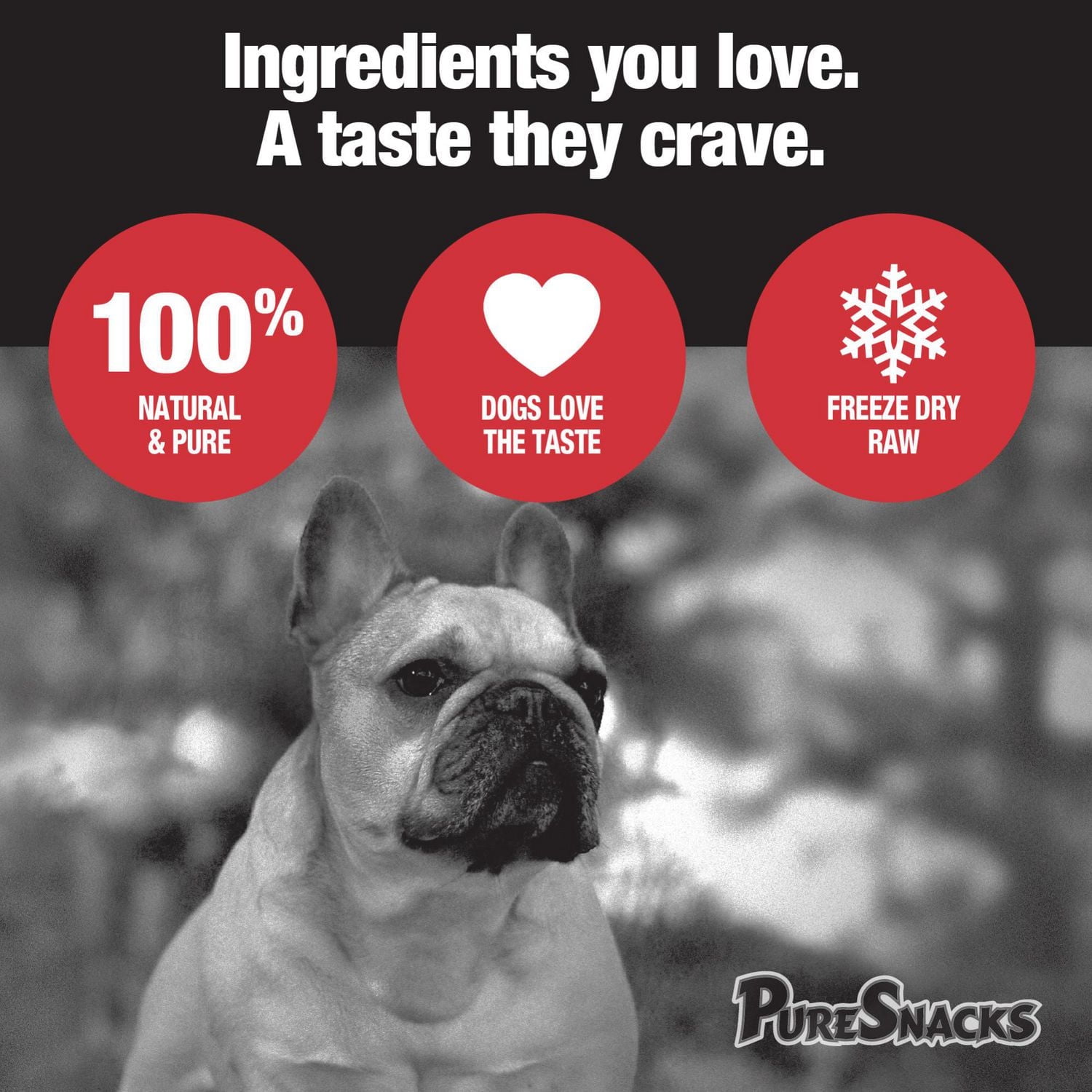 PureSnacks Freeze Dried Chicken Breast Dog Treats, Single Ingredient Dog Treats