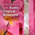 thumbnail image 4 of Assainisseur d'Air Glade PlugIns Huile Parfumée Exotique Tropicale, 4 of 9
