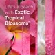 thumbnail image 3 of Vela en Tarro Glade Exotic Tropical Blossoms 96 g Paquete de 2, 3 of 9