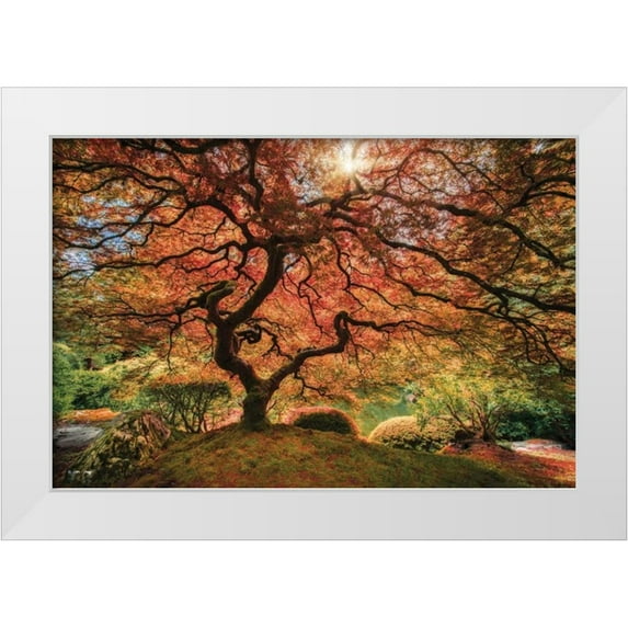 Levy, Moises 32x23 White Modern Wood Framed Museum Art Print Titled - First Colors of Fall I