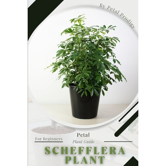 Schefflera Plant : Prodigy Petal, Plant Guide (Paperback)