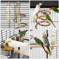 thumbnail image 5 of Danolapsi 61-inch Playtop Wrought Iron Large Parrot Bird Cages with Rolling Stand for Cockatiels Amazon Parrot Quaker Conure Parakeet Lovebird Finch Canary Small Medium Parrot Cage Birdcage, 5 of 9