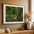 thumbnail image 4 of Ferns on Partridge Island Trail, Lynnfield 06 - Lynnfield Massachusetts Photography Forest Nature Landscape Scenic Botanical Summer Rustic Oak Framed Wall Art Print 20 x 30 inches, 4 of 6