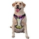 thumbnail image 1 of Balery Colorful Tie Dye Stained Glass 3 Arnés para Perros Grandes Antitirones, Arnés con Correa para Gato, Arnés Tipo Chaleco para Perros Pequeños-X-Large, 1 of 6