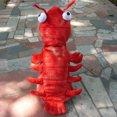 thumbnail image 3 of Travelwant Dog Cat Lobster Costume, Pet Halloween Cosplay Dress, Puppy Red Hoodie Warm Outfits Clothes, 3 of 8