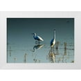 thumbnail image 3 of Alan Hausenflock 18x13 White Modern Wood Framed Wall Art Titled - Early Morning Egrets II, 3 of 5