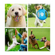 thumbnail image 3 of Kit De 18 Piezas Juguete De Cuerda Para Perro Lab.G,  Multicolor, 3 of 5
