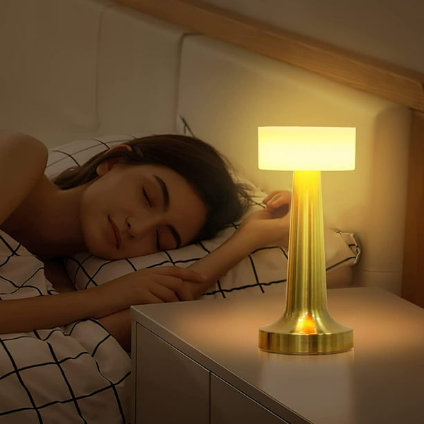 LETOUR Touch Bedside Lamp Potable Touch Dimming Metal Body Table Lamp