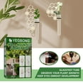 thumbnail image 4 of Wall Mounted Flower Vase Glass Hydroponic Planter Container Home Decor, 4 of 5