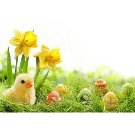 Image of HelloDecor 7x5ft Easter Day Eggs Chick Flowers in Grass Photography Backdrop Prop Photo Background