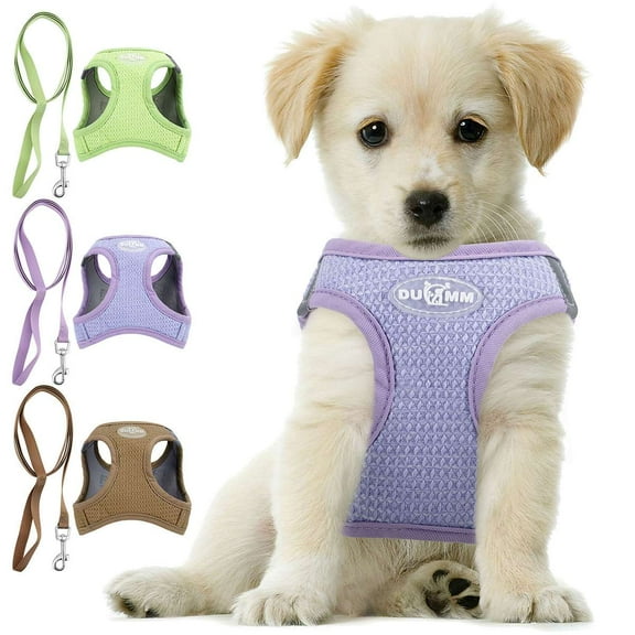Spencer New No Pull Dog Harness No Choke Reflective Pet Vest Adjustable Breathable Pet Harnesses and Leash Set for Small Dogs Cats Walking, Purple, XS