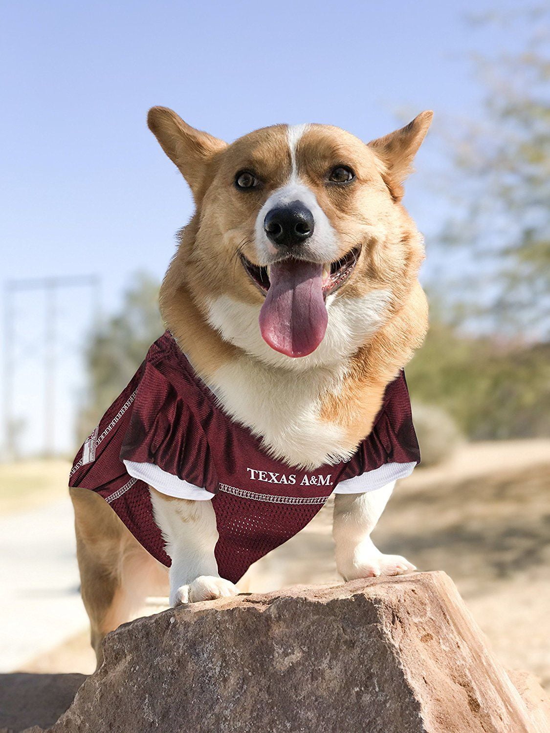 Pets First Collegiate Texas A&M Aggies Football/Basketball Mesh Jersey for Pet Dog. available in 40+ Teams - XX-Large