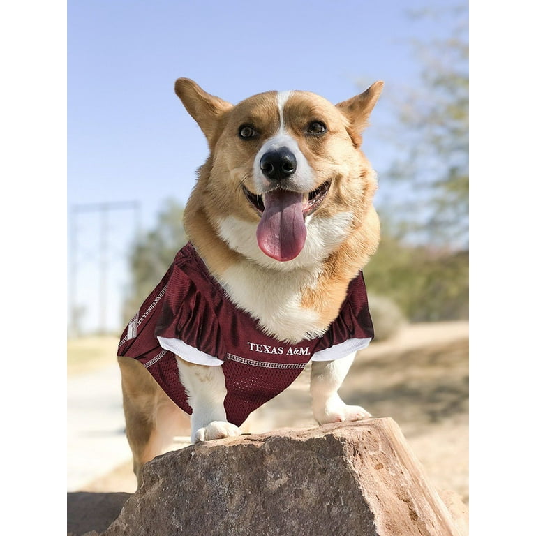 Lsu dog clothes sale