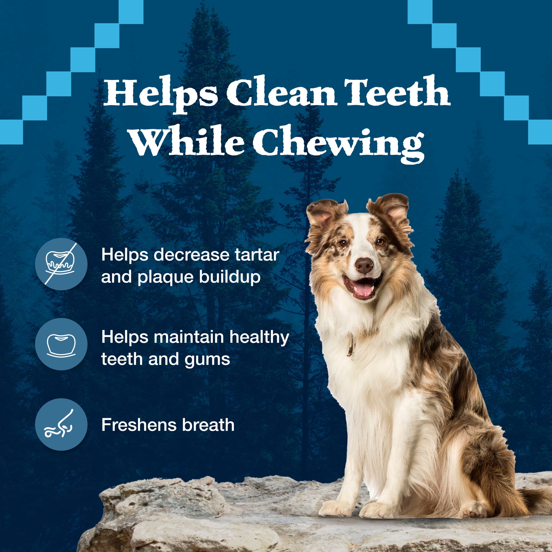 Blue Buffalo Wilderness Trail Treats Wild Bones, Large Dental Chews For Large Dogs, 10-oz.