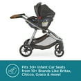 Contours Legacy Convertible 1to2 GrowWithMe Stroller, Graphite Gray