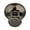 Antique Nickel, variant on Thermasol OSS-PC Commercial Steam Head - Chrome