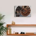 thumbnail image 6 of Epic Graffiti 'Ammonite Spiral' by Elena Ray, Canvas Wall Art, 18"x12", 6 of 8