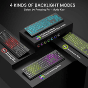Wagpak Large Print Backlit Keyboard - Wired USB Lighted Computer Keyboard for Laptops