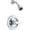 Chrome, variant on Delta Foundations 1-Spray Single Handle Shower Only Faucet in Stainless BT13210-SS