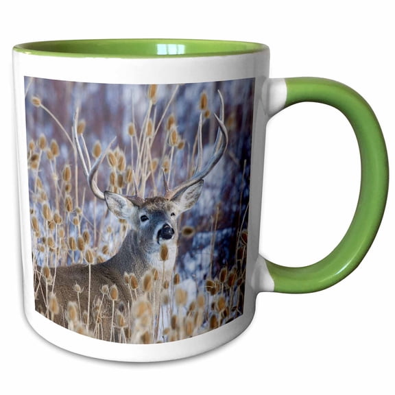 3drose, White-tail Deer Buck., 11oz Two-tone Green Mug