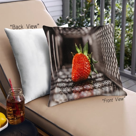 Ahgly Company Foods Strawberry Outdoor Throw Pillow, 18 inch by 18 inch