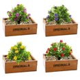 thumbnail image 1 of 4 Uds simulación Milán hierba bola pequeñas plantas verdes de plástico con flores simulación hierba bola plantas verdes artificiales, 1 of 5