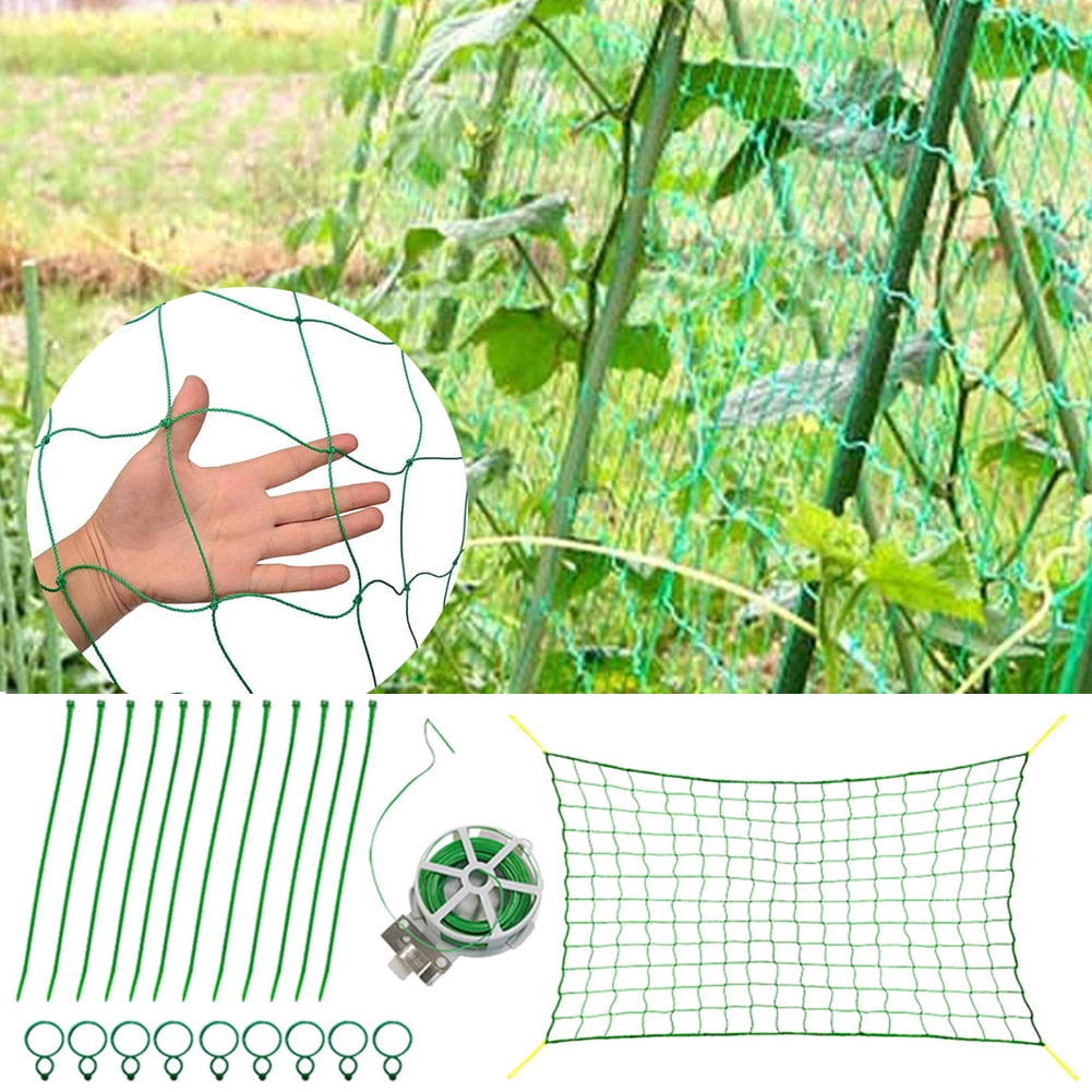 Cheers.US Heavy-Duty Nylon Garden Plant Trellis Netting Elastic Plant ...