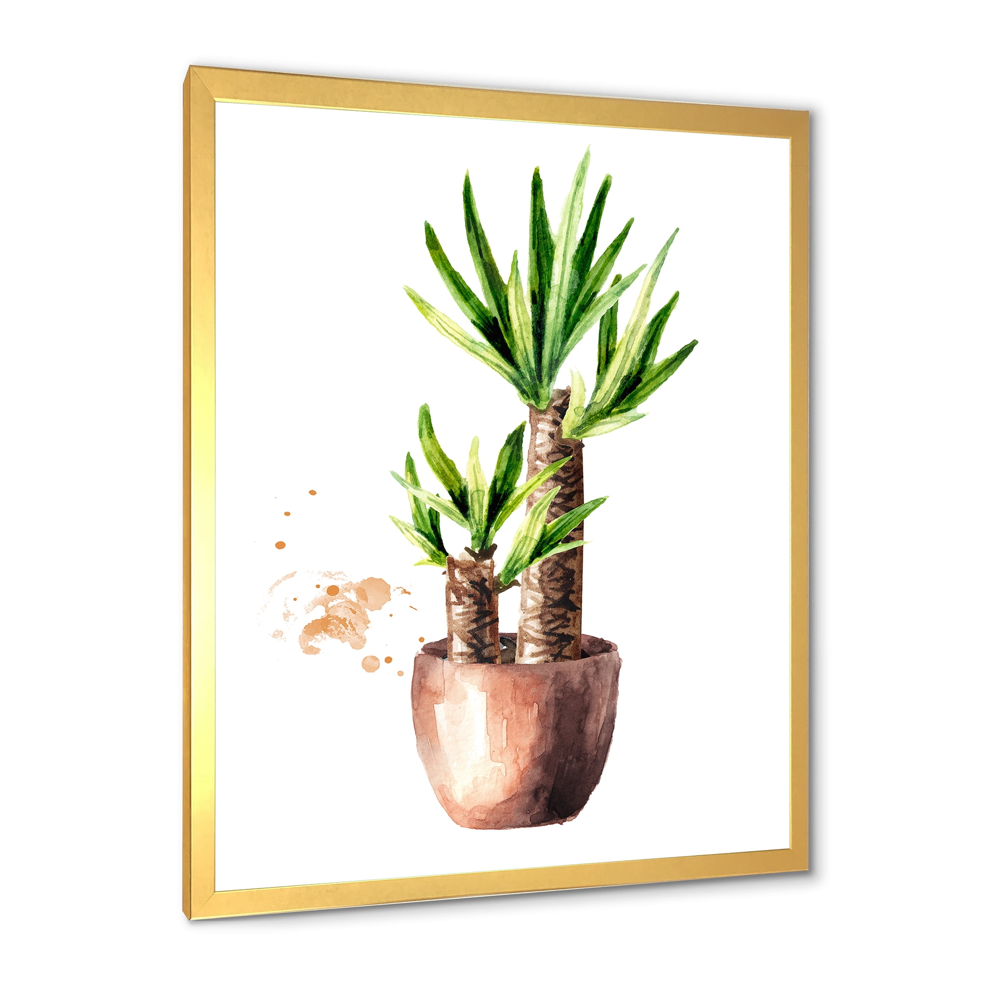 Designart 'Yucca Tree In The Ceramic Flower Pot On White' Traditional Framed Art Print