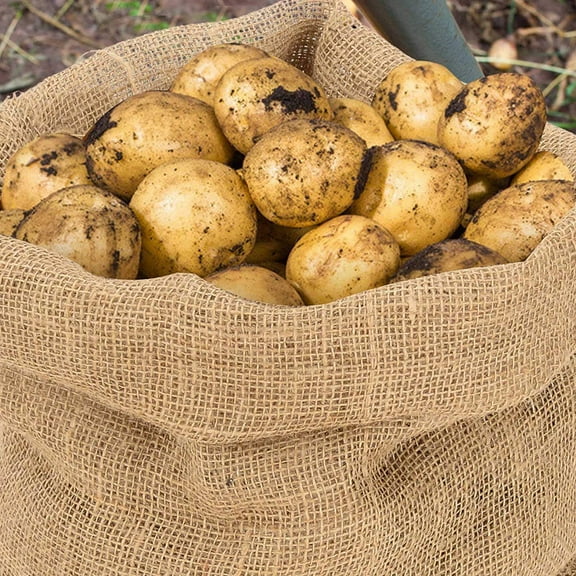 SWETRACE 1Pack Rectangular Burlap Bags for Covering Shrubs and Trees 39.4x23.6in