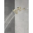 thumbnail image 4 of Delta 5SF100-PN Clarifi Premium Shower Filter Attachment For A Reduction In Chlorine And, 4 of 7