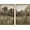 Grassland, variant on 2 Pcs Framed Wall Art Vintage Farmhouse Decor, Country Road Paintings Above Bed Wall Decor, Canvas Prints, Rustic Scenery Pictures for Living Room,Bedroom,Office, 16"x24", set of 2