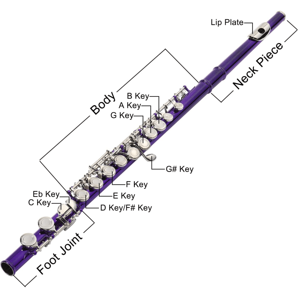 Tcbosik C Flute Closed Hole 16 Keys for Beginners with Case, Cloth, Screwdriver, Lubricant and Cleaning Rod, Purple