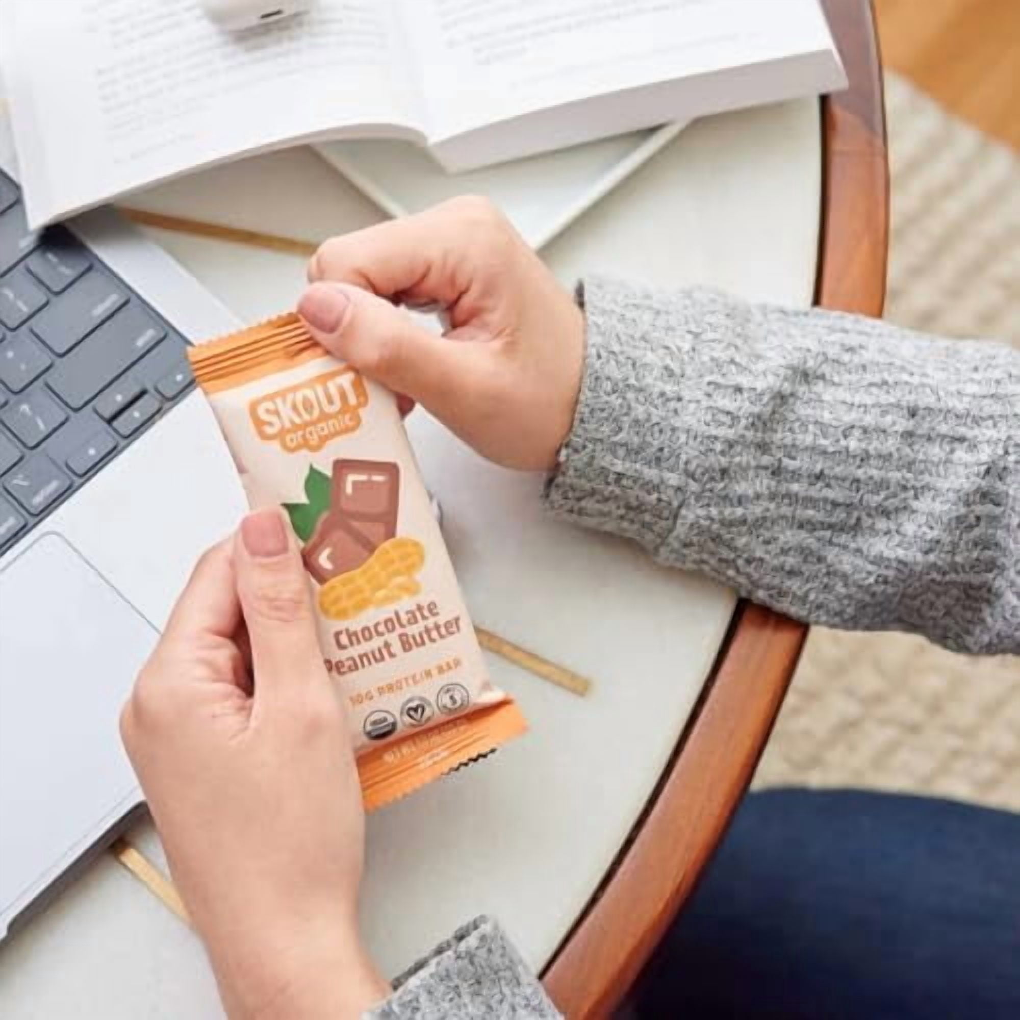 Skout Organic Chocolate Peanut Butter Plant-Based Protein Bars - 12 Pack