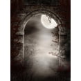 thumbnail image 2 of Gothic Ruins Thorns and Wall Mural by Wallmonkeys Peel and Stick Graphic (36 in H x 27 in W) WM336057, 2 of 4