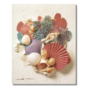 Ocean Starfish Sea Shell Beach Bathroom # 3 Wall Picture 8x10 Art Print