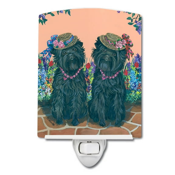 Caroline's Treasures PPP3001CNL Affenpinscher Sisters Ceramic Night Light, 6x4x3", multicolor