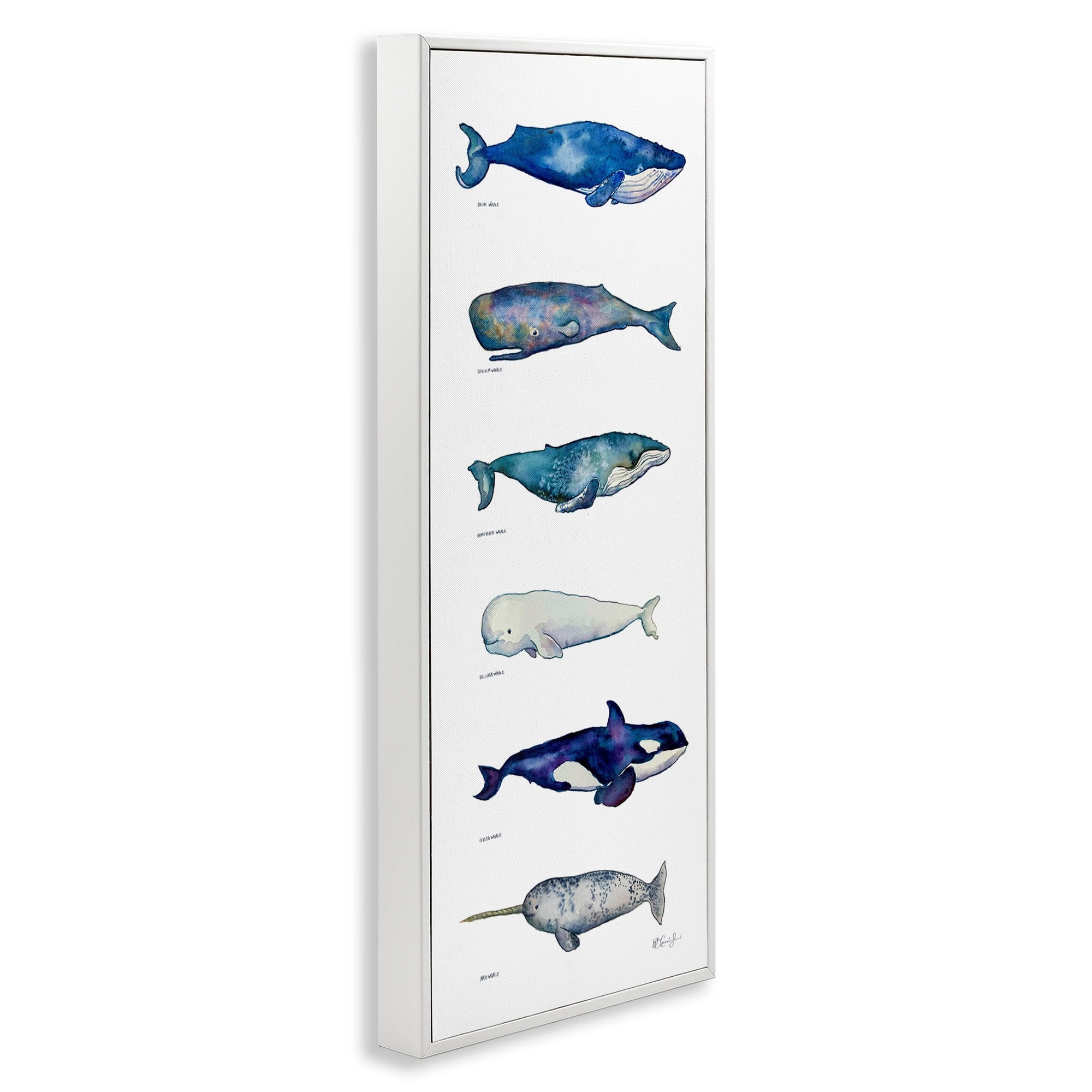 Stupell Industries Maritime Sea Life Ocean Whales Narwhal Chart Diagram , 13 x 30, Design by MB Cunningham