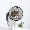 thumbnail image 1 of Baseball Sport Soft Cat Dog Recovery Collar Adjustable Cat Cone Wound Healing Protective After Surgery for Small Dogs, 1 of 7
