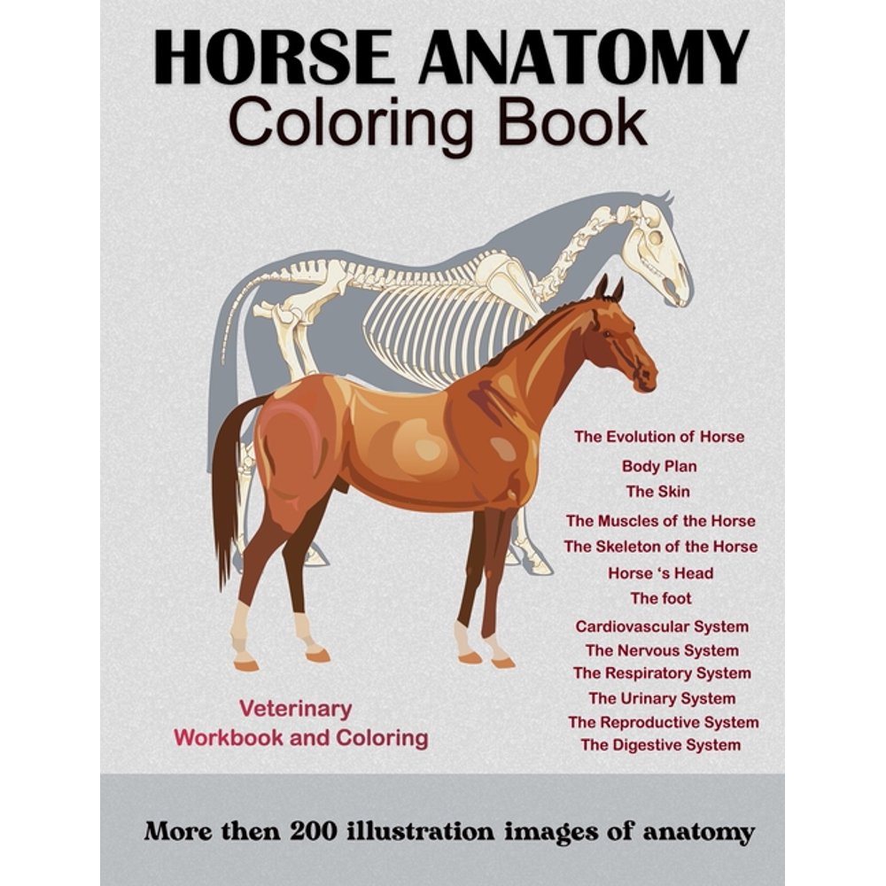 Horse Anatomy Coloring Book : For Equine Vet Anatomy Students