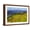 Brown Frame, variant on Art.com Colorado, Shrine Pass, Vail. Wildflowers on Mountain Landscape Photographic Print by Jaynes Gallery, 18" x 12"